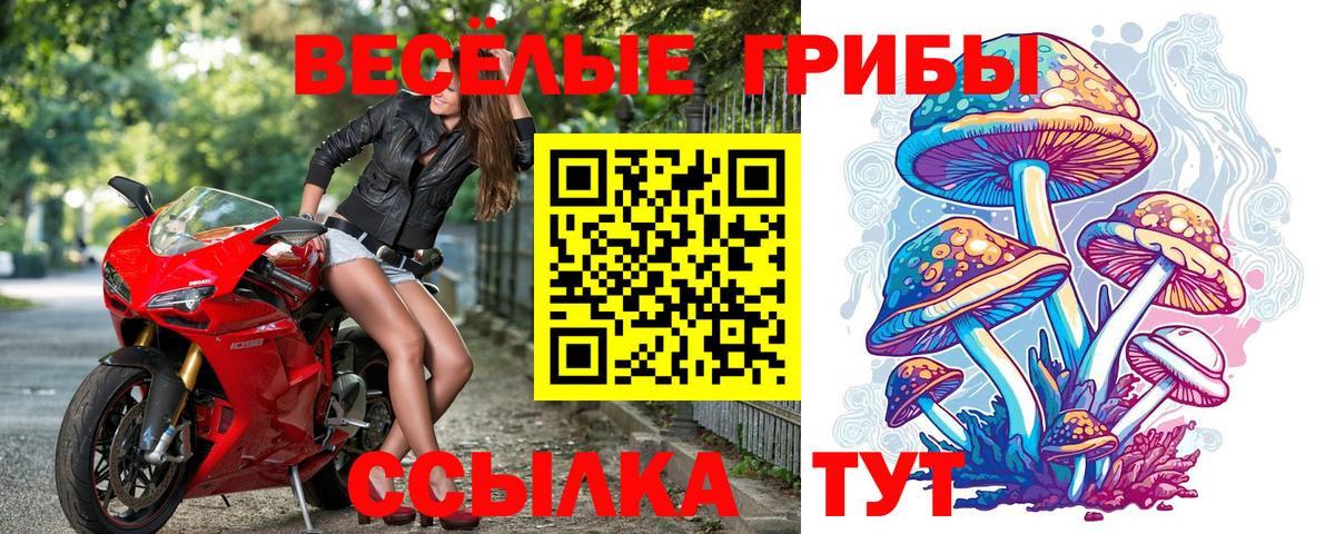 Тула  Псилоцибиновые грибы мицелий  Вход с VPN  Галлюциногенные грибы Psilocybine cubensis 